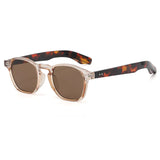 Transparente marrom e leopardo lente marrom